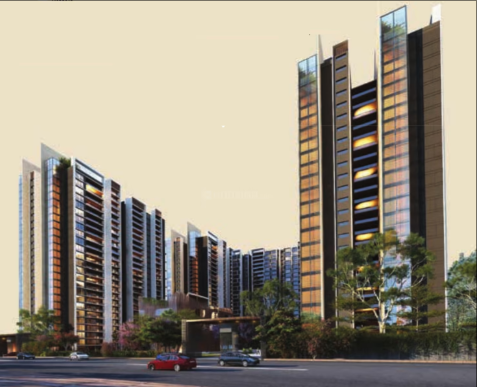 Ramsons trendsquares